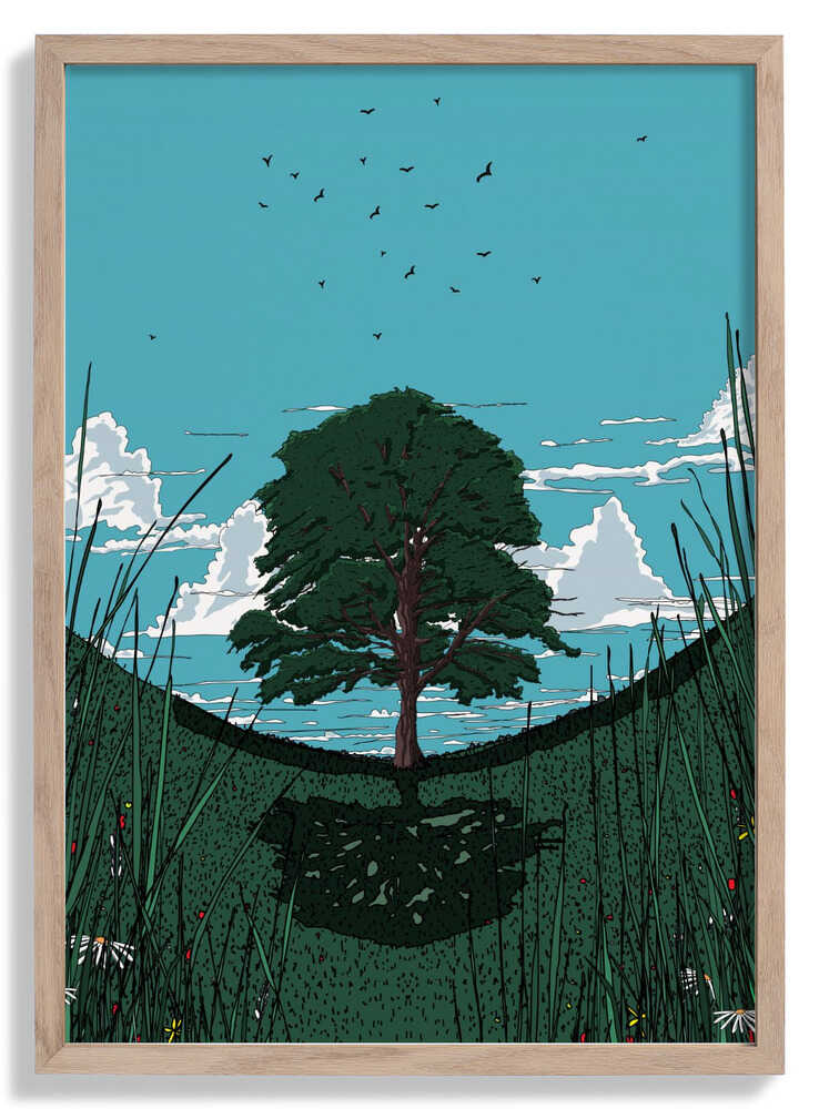 Platanenbaum von Nicholas