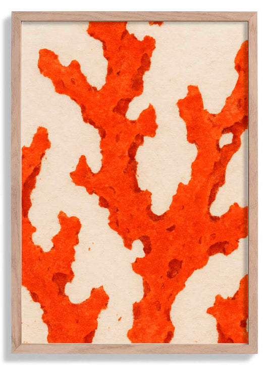 Coral Dreams by Treechild