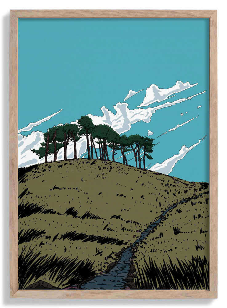 Schottische Hügellandschaft von Nicholas