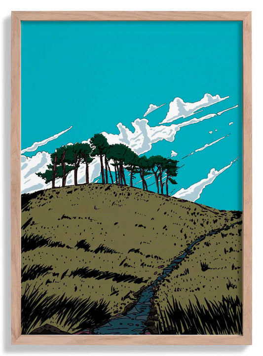 Schottische Hügellandschaft von Nicholas