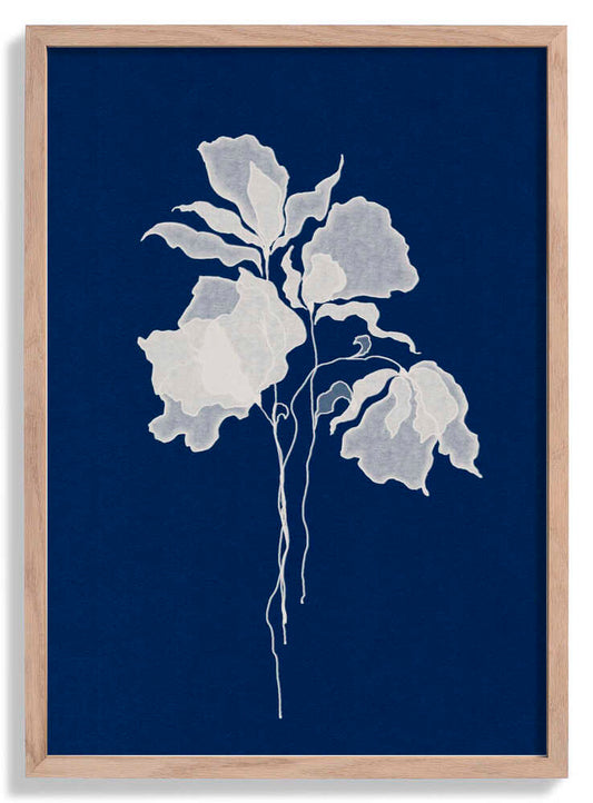 Delicate White Flower by Lena Refur