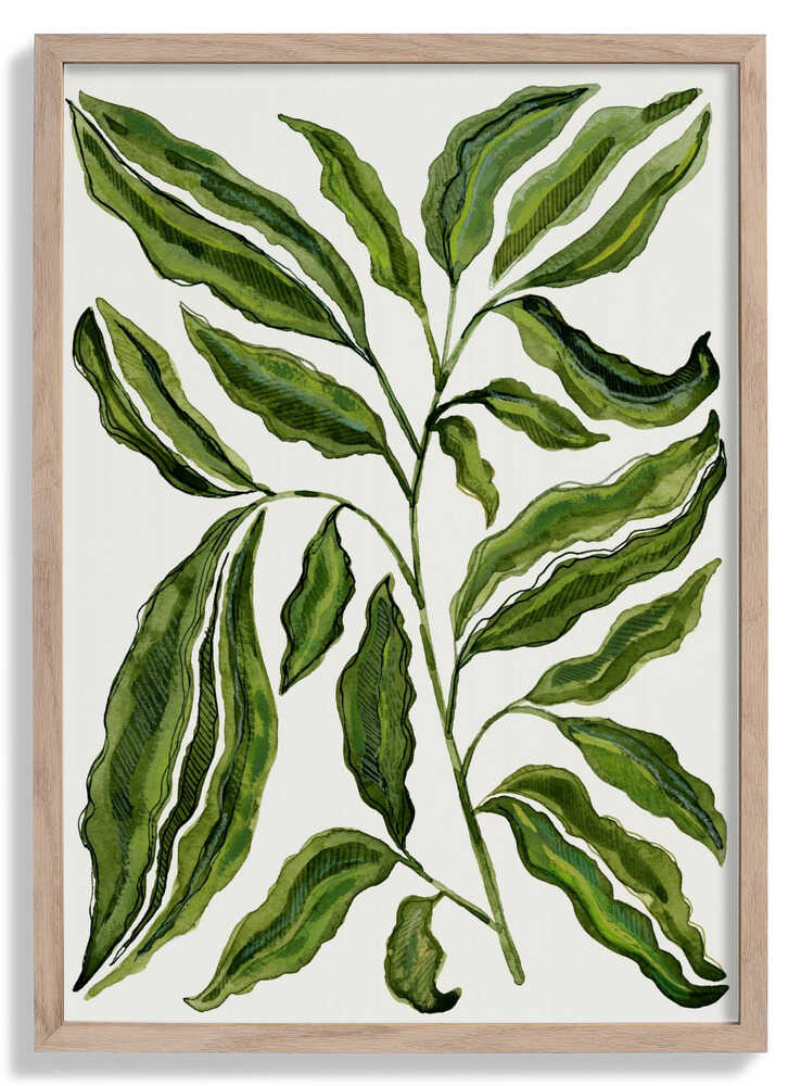 Sprig Of Leaves von Susan Black