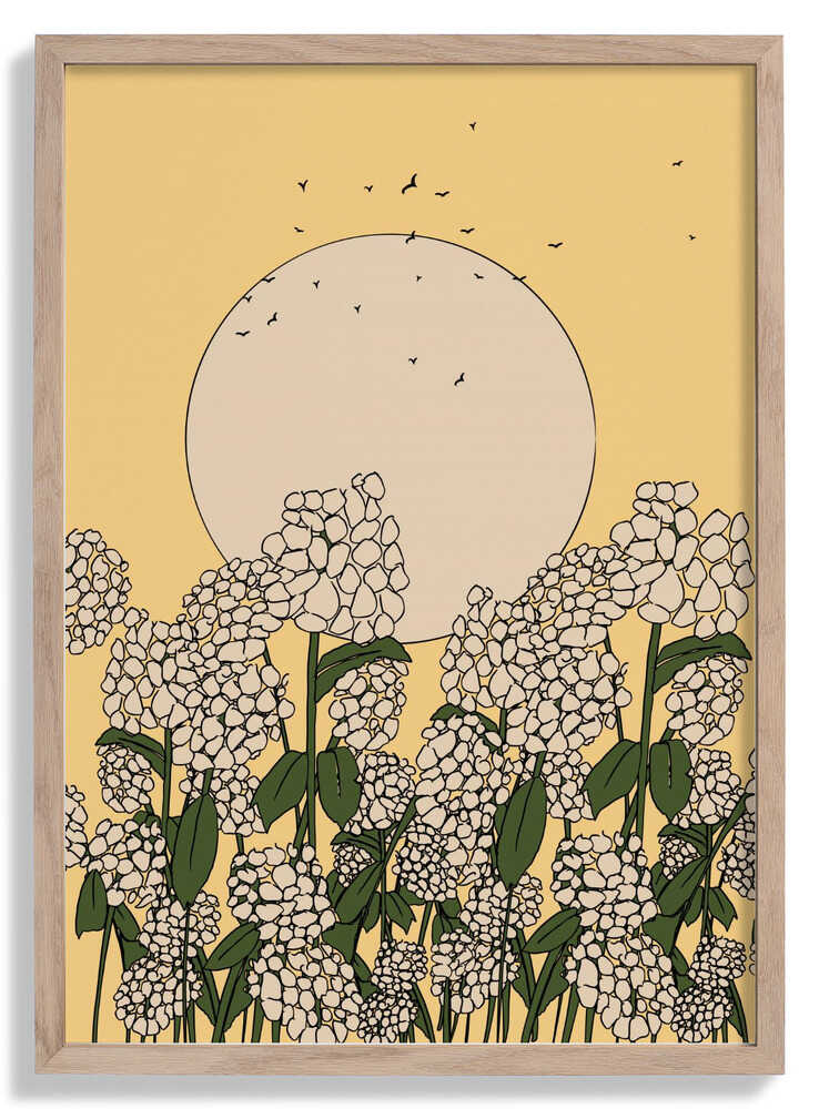 Hydrangea Flower by Nicholas