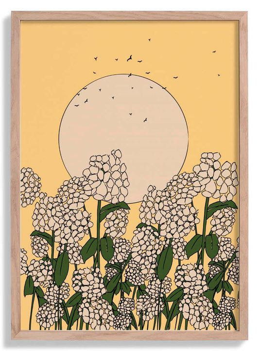 Hydrangea Flower by Nicholas