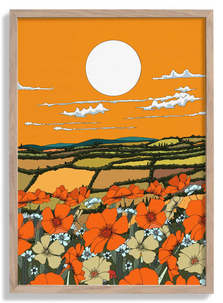 Mohnblick in der Abenddämmerung von Nicholas