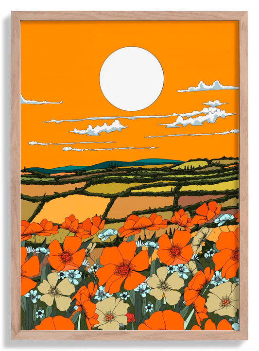 Mohnblick in der Abenddämmerung von Nicholas