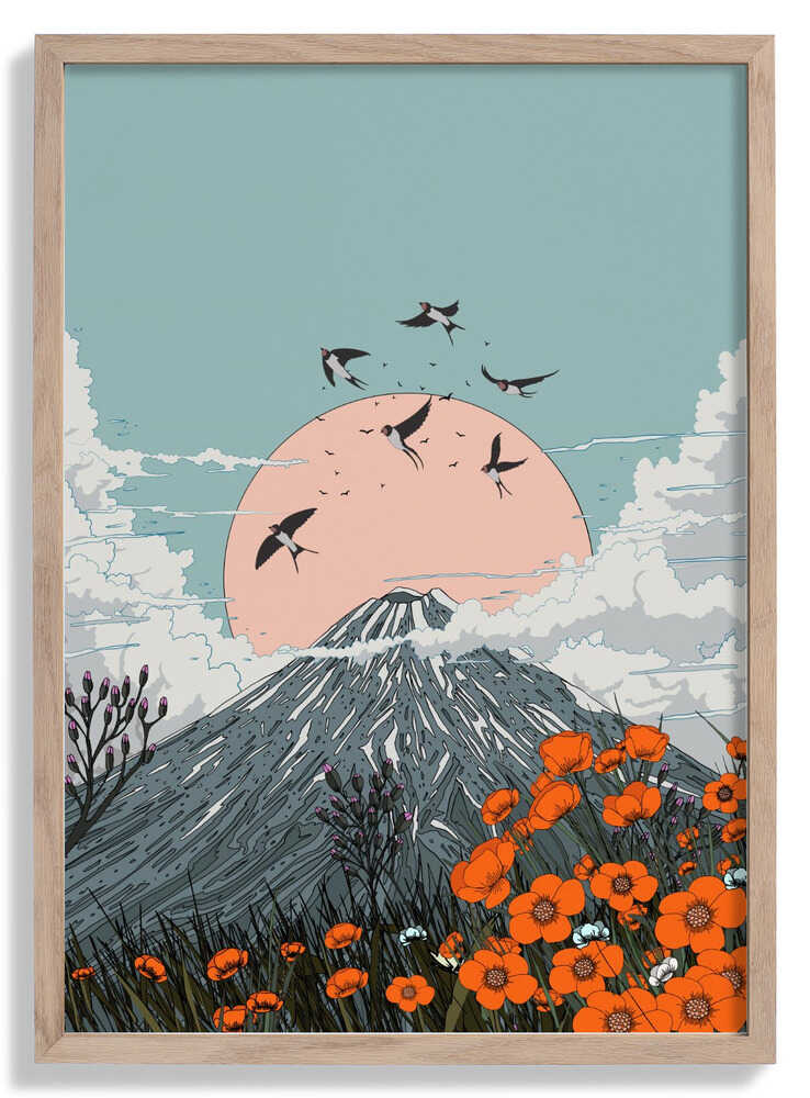 Vulkanschwalben von Nicholas