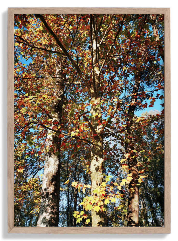 Ready To Fall von Angelo Cerantola