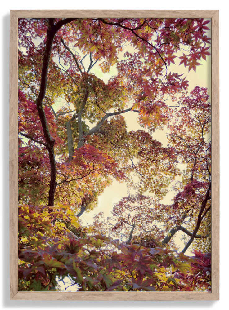 Japanischer Garten von Angelo Cerantola