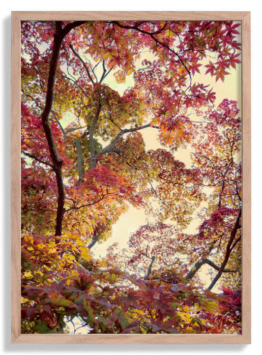 Japanischer Garten von Angelo Cerantola