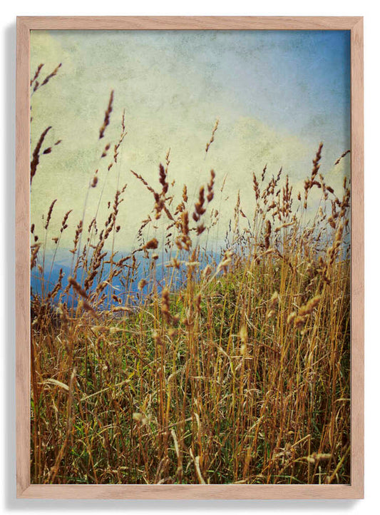 Berggras von Angelo Cerantola