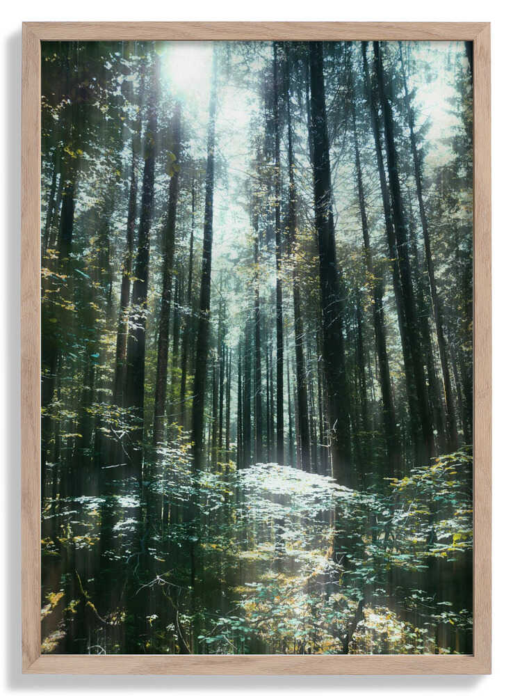 Stille von Angelo Cerantola