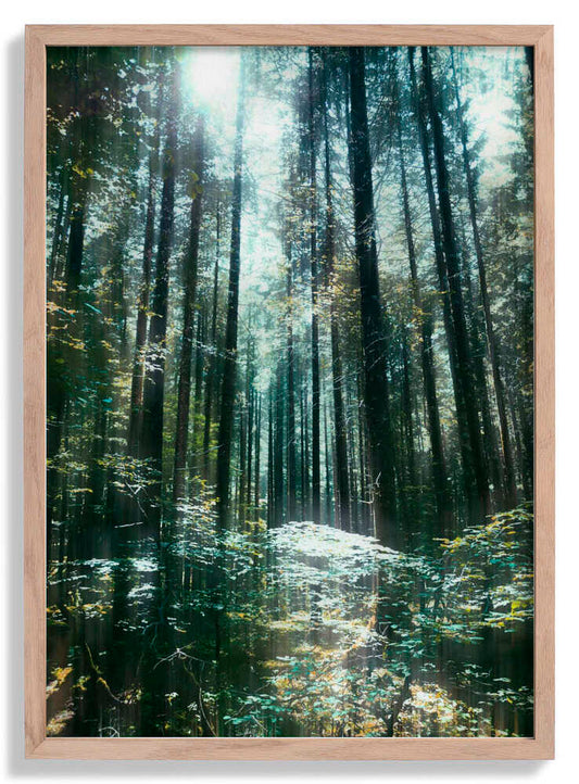 Stille von Angelo Cerantola