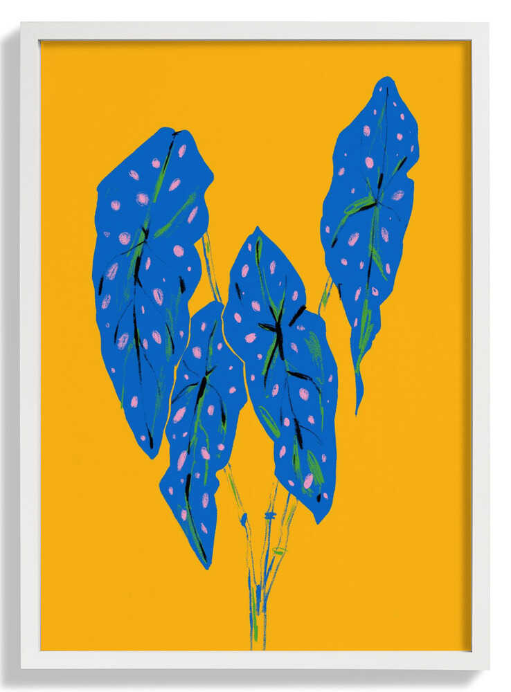 Begonia Maculata Blau und Gelb von Francesco Gulina