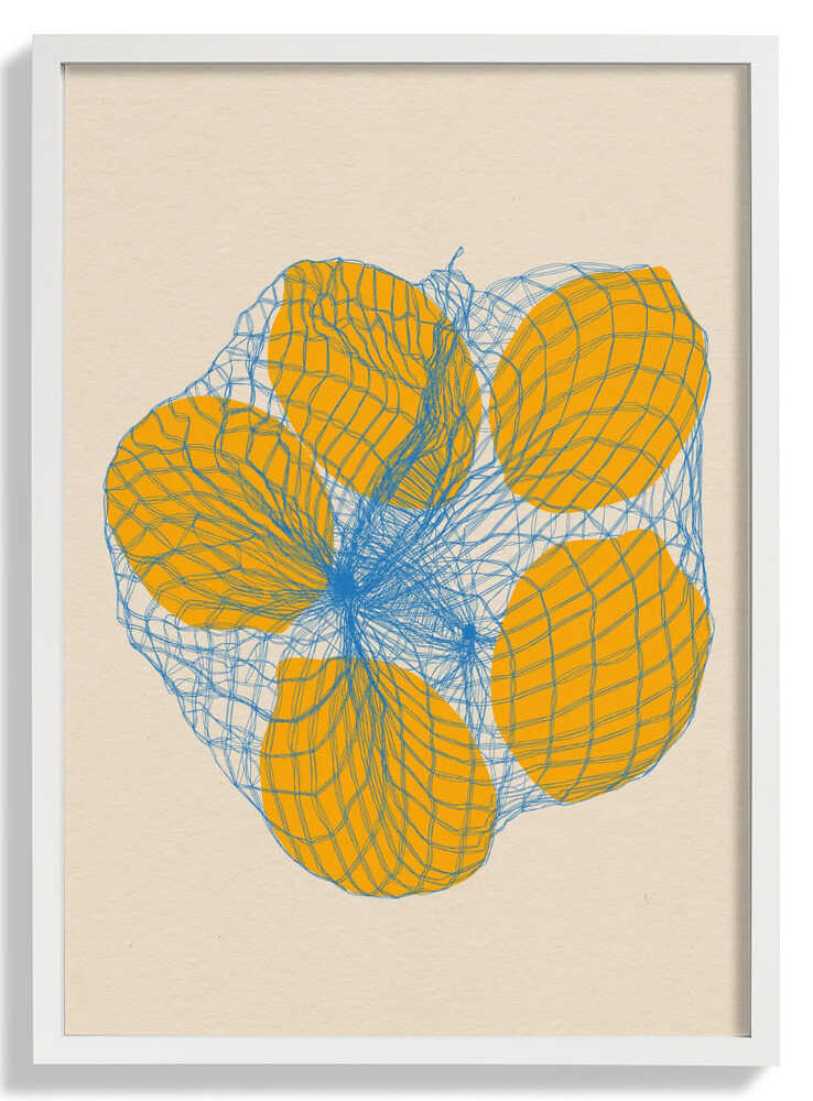 Five Lemons In a Net Bag by Rosi Feist