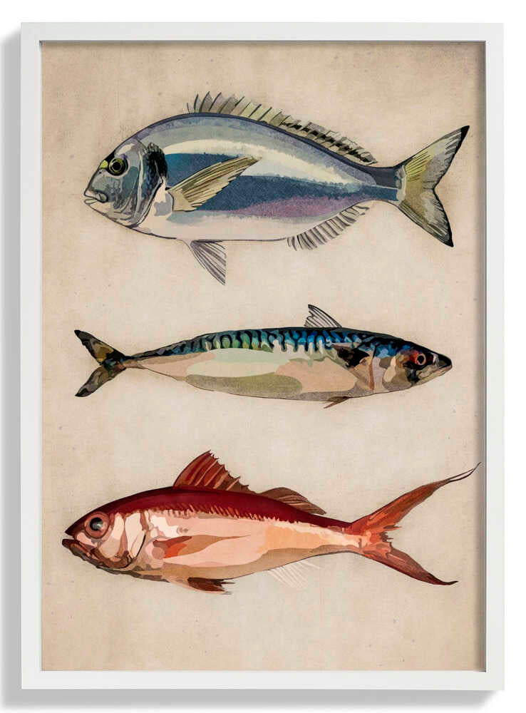 Trio of Ocean Life by Emel Tunaboylu