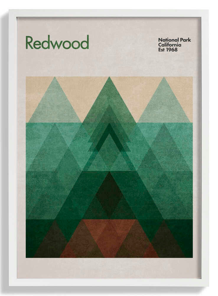 Triangular Redwood by Emel Tunaboylu