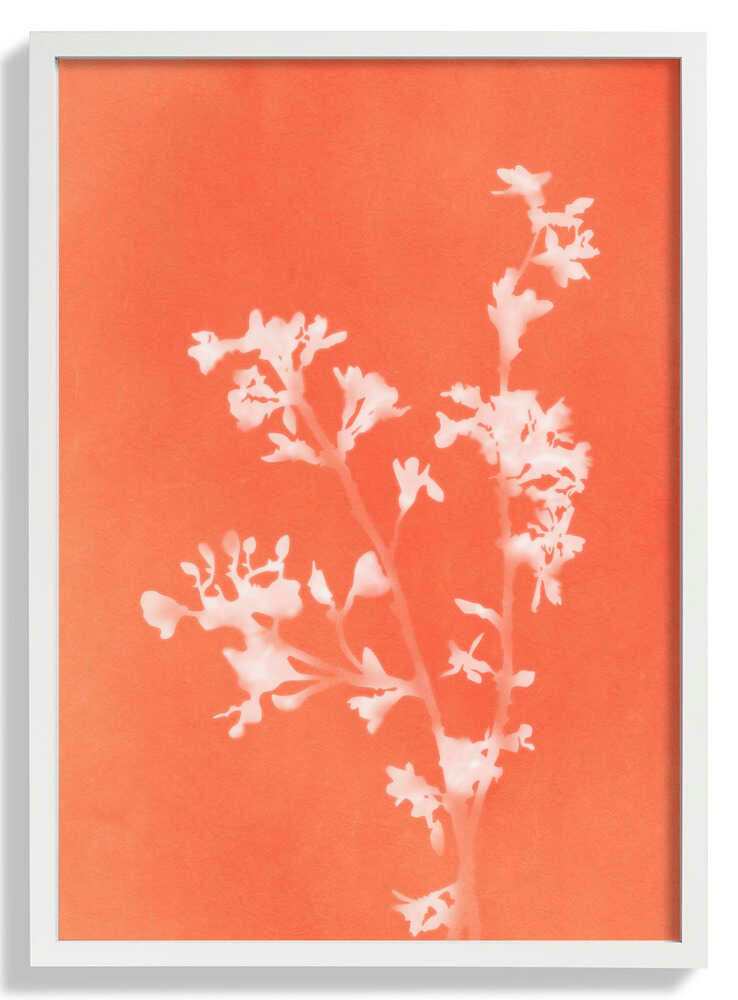 Monograph Orange Flowers by amini54