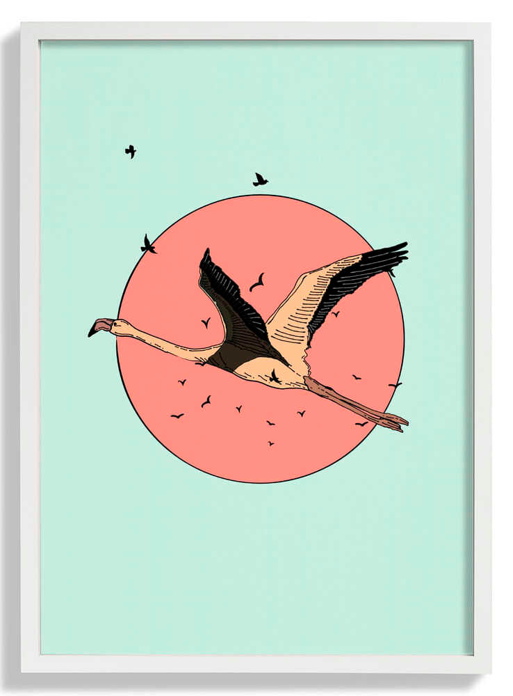 Flamingo In Flight by Nicholas