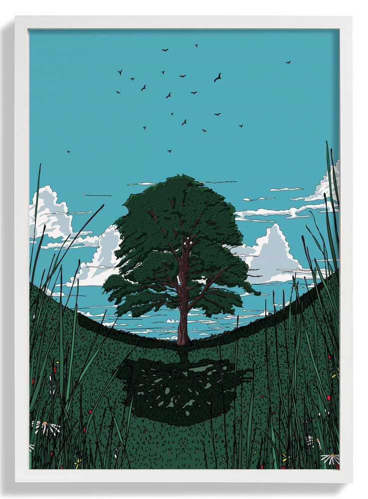 Platanenbaum von Nicholas