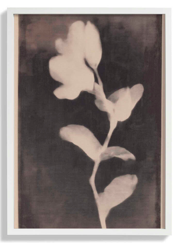 Fadedbloom by Treechild