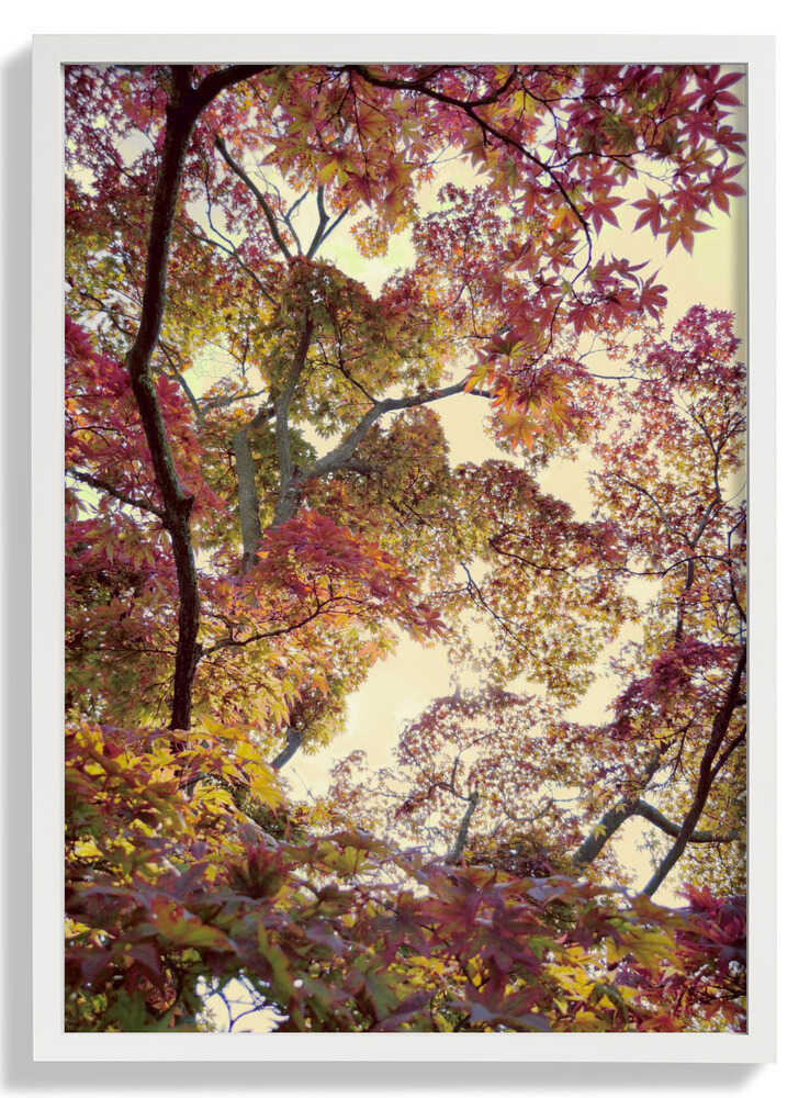 Japanischer Garten von Angelo Cerantola