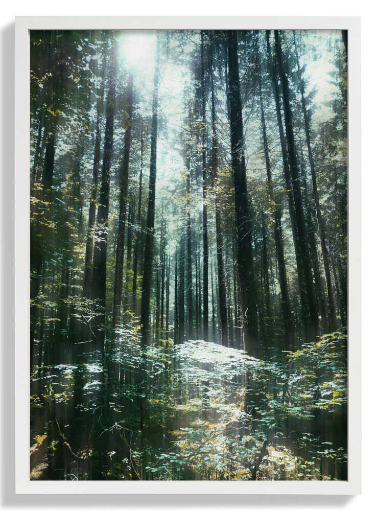 Stille von Angelo Cerantola