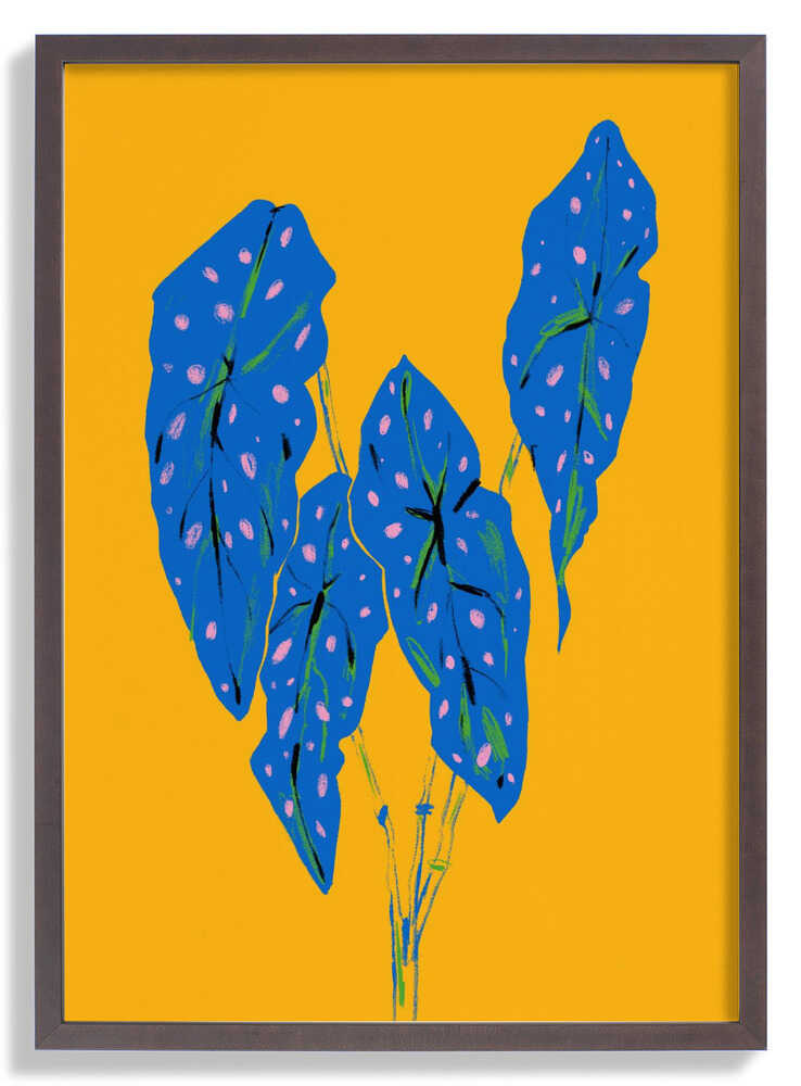 Begonia Maculata Blau und Gelb von Francesco Gulina