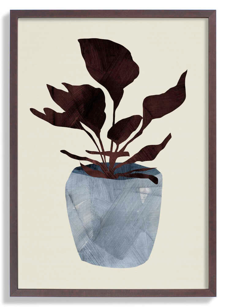 Country Plant by Dan Hobday