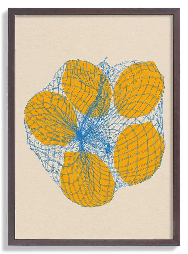 Five Lemons In a Net Bag by Rosi Feist