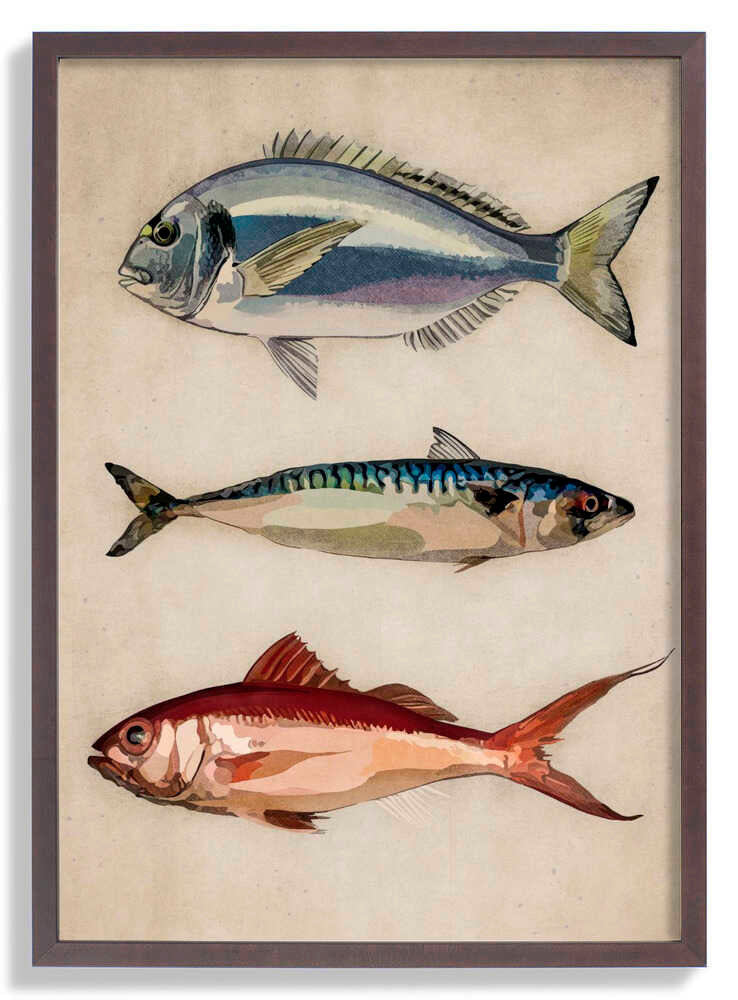 Trio of Ocean Life by Emel Tunaboylu