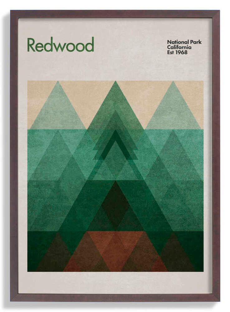 Triangular Redwood by Emel Tunaboylu
