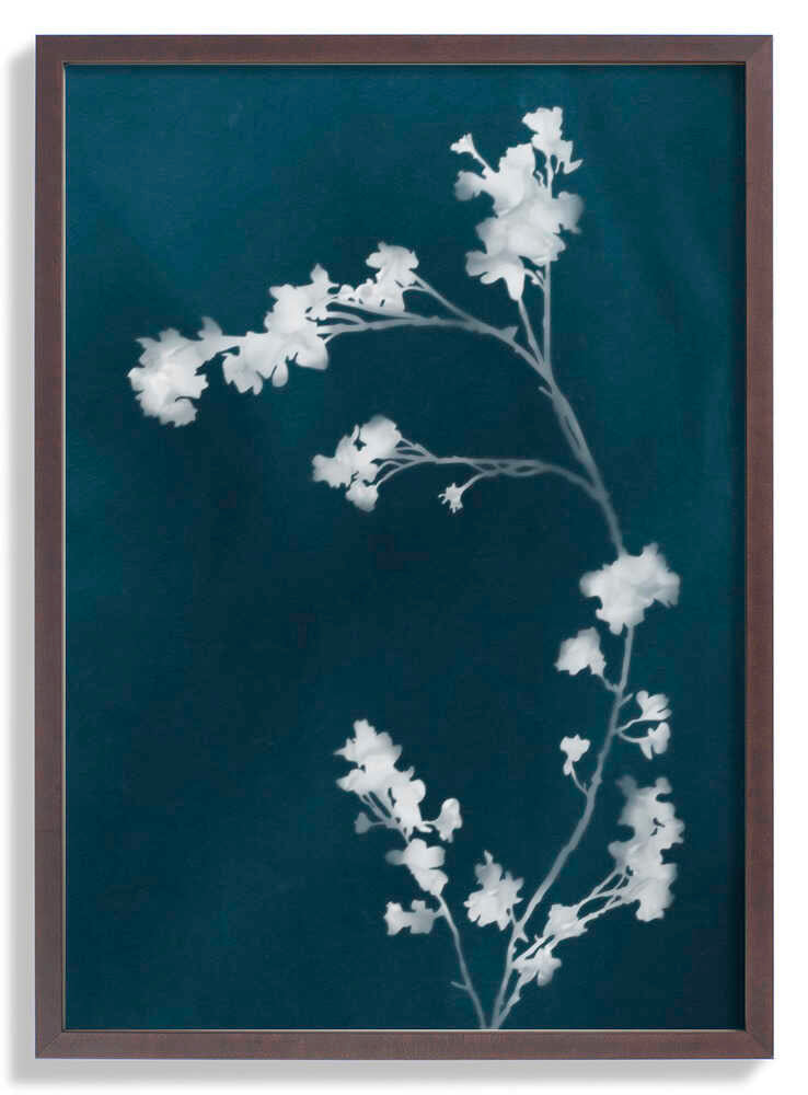 Monographie Blaue Blumen von amini54