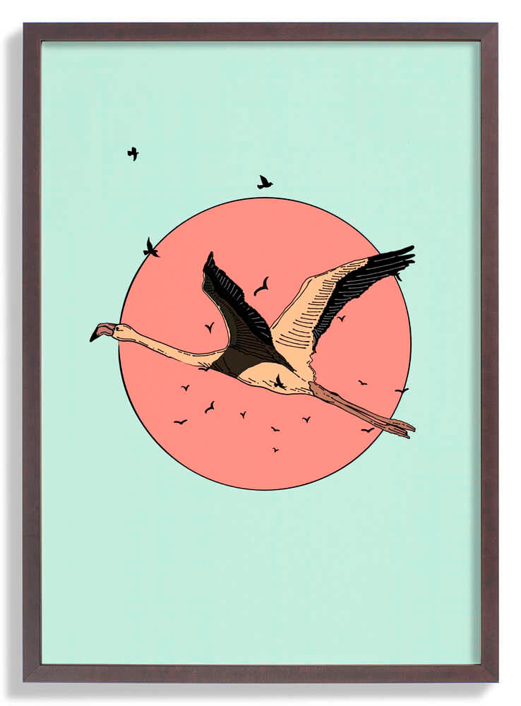 Flamingo In Flight by Nicholas