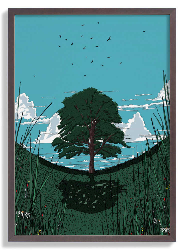 Platanenbaum von Nicholas