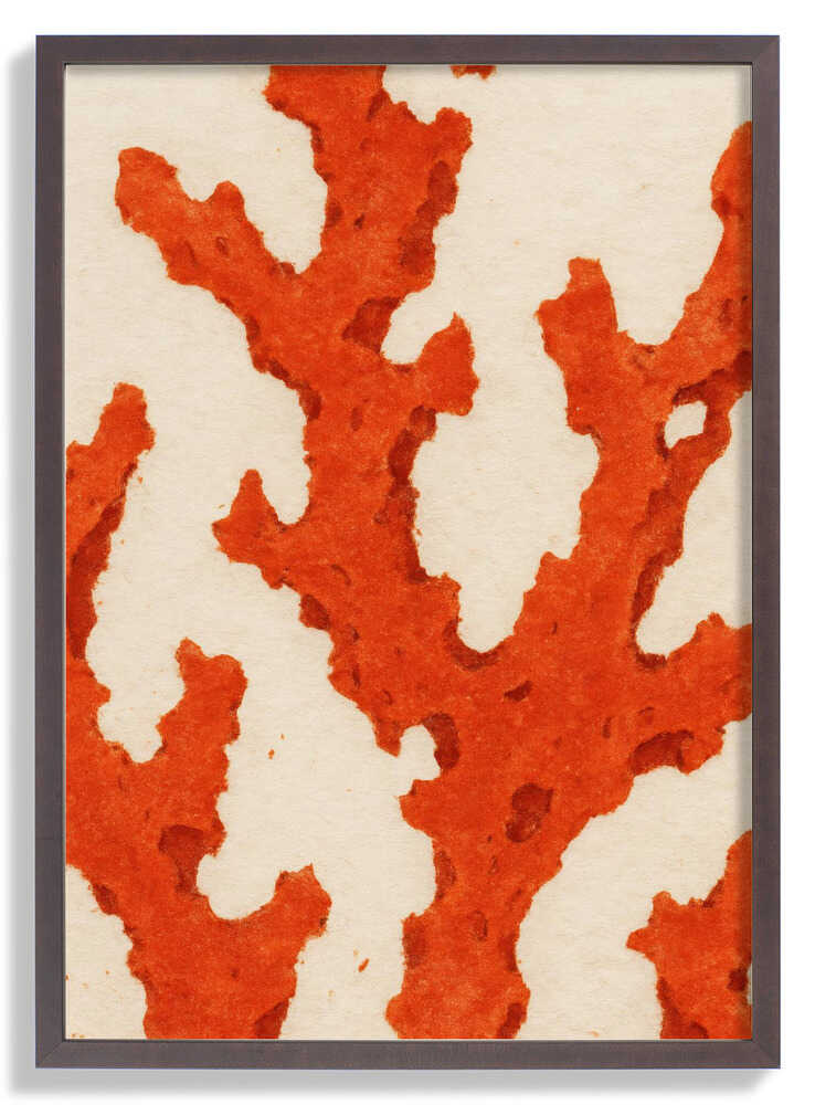 Coral Dreams von Treechild