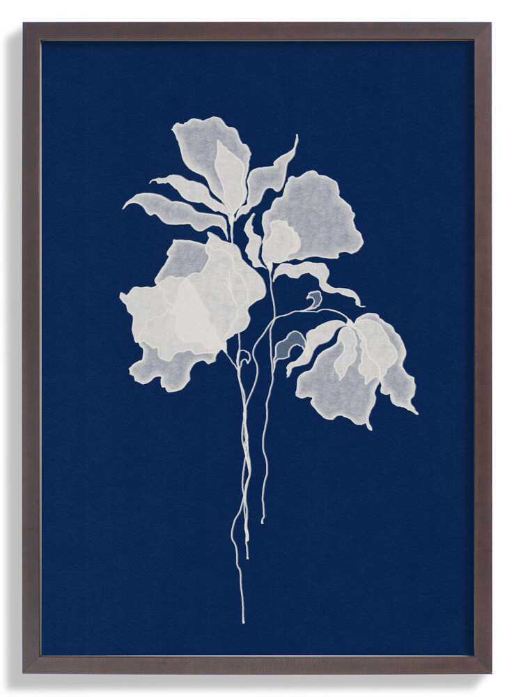 Delicate White Flower by Lena Refur