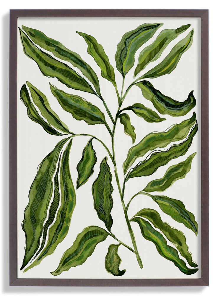 Sprig Of Leaves von Susan Black