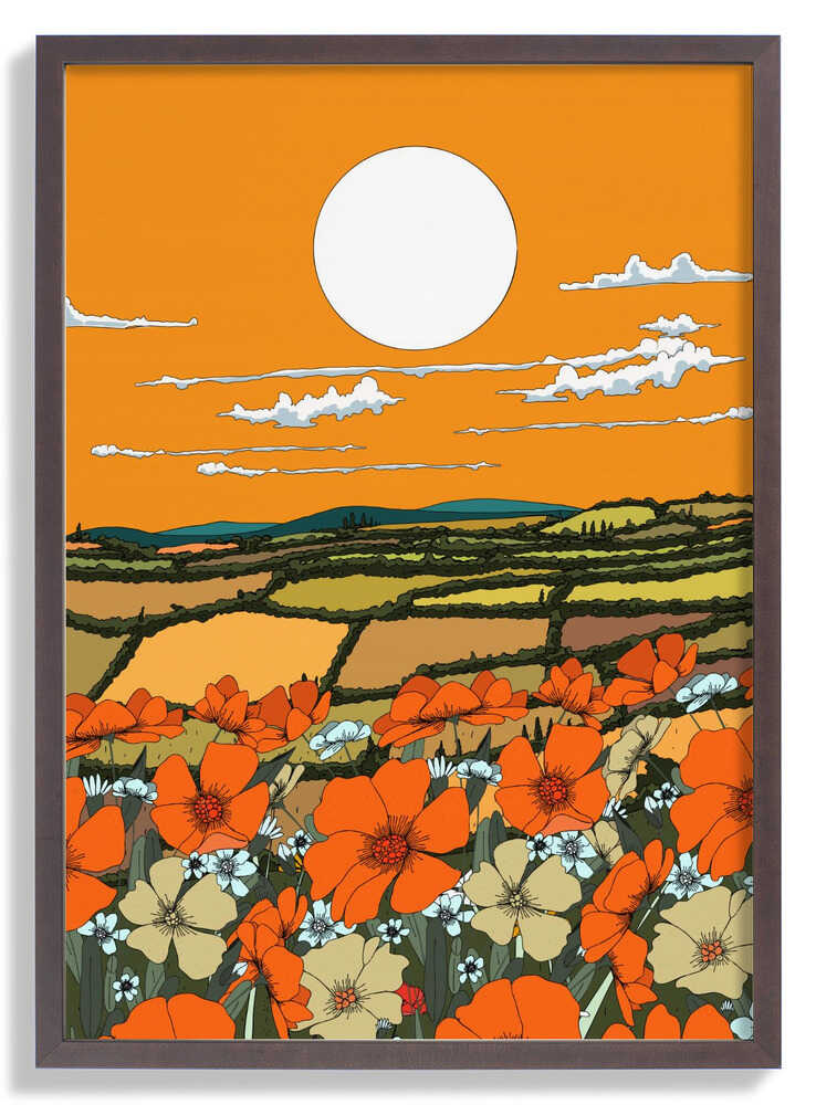 Mohnblick in der Abenddämmerung von Nicholas