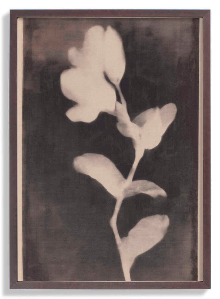 Fadedbloom by Treechild