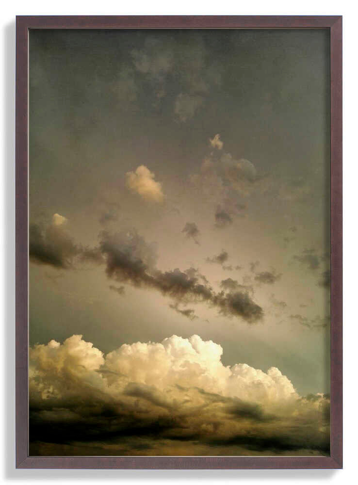 Die Pracht von Angelo Cerantola