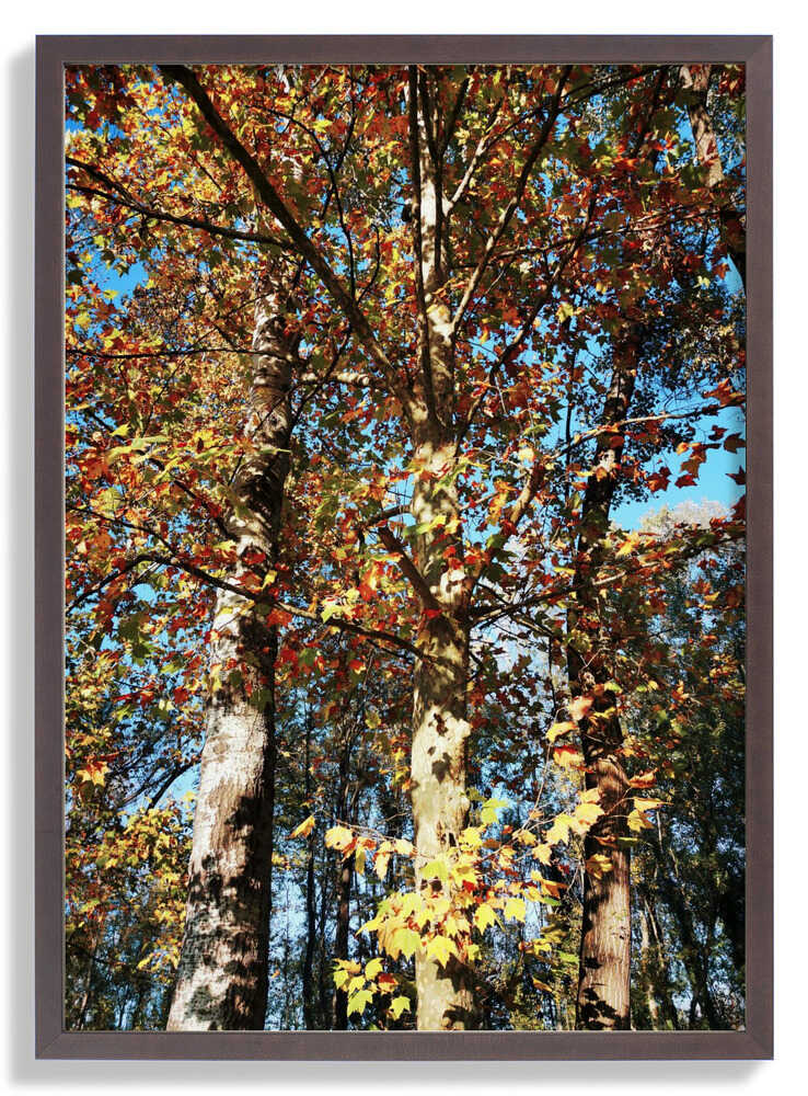 Ready To Fall von Angelo Cerantola