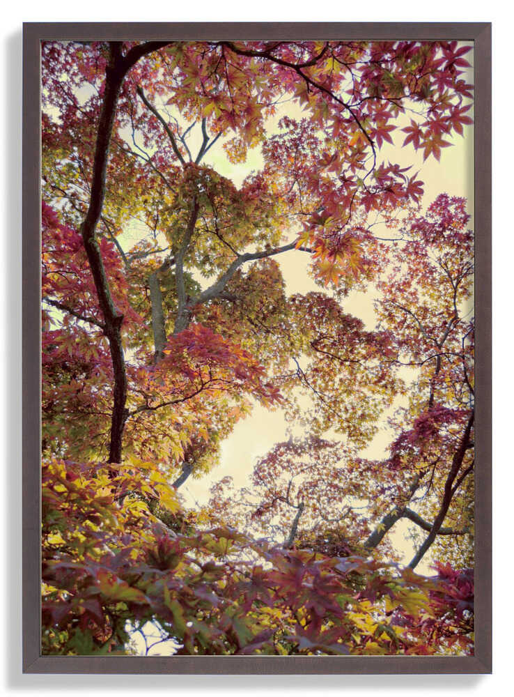 Japanischer Garten von Angelo Cerantola