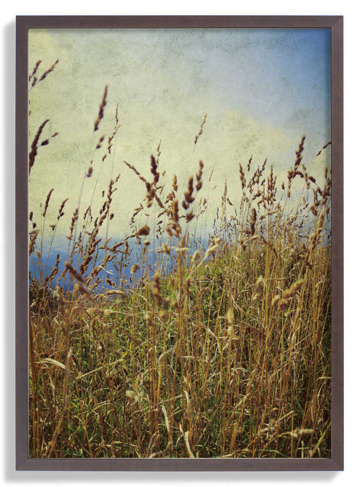 Berggras von Angelo Cerantola