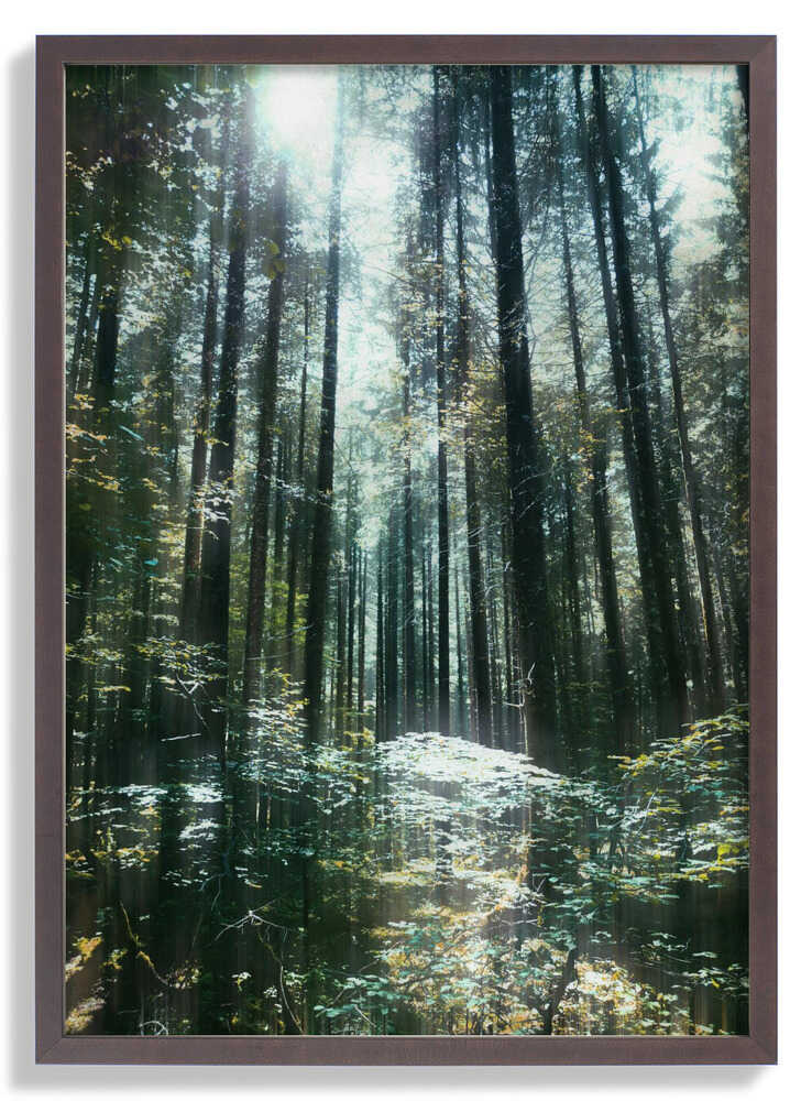 Stille von Angelo Cerantola