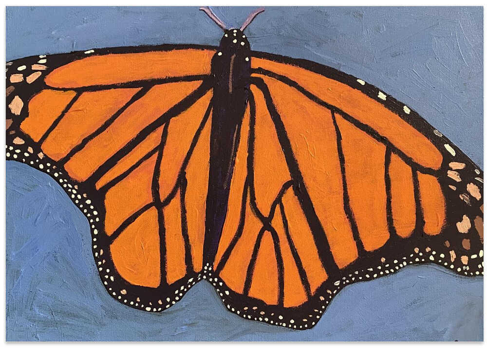 Schmetterling von Sue Graef