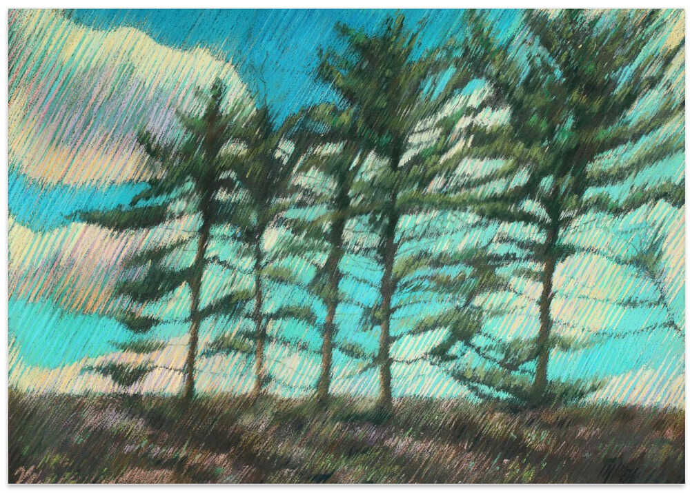 Hatertse Vennen (Hatert Meres) 01 (2012) by Corné Akkers