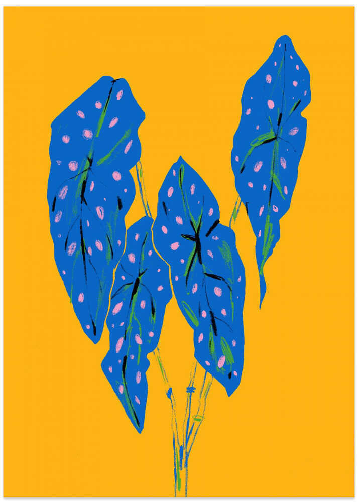 Begonia Maculata Blau und Gelb von Francesco Gulina