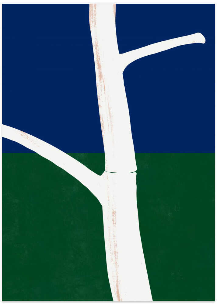 Stark White Tree Trunk With Branches by Little Dean