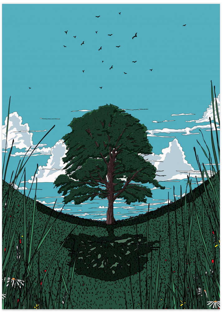 Platanenbaum von Nicholas